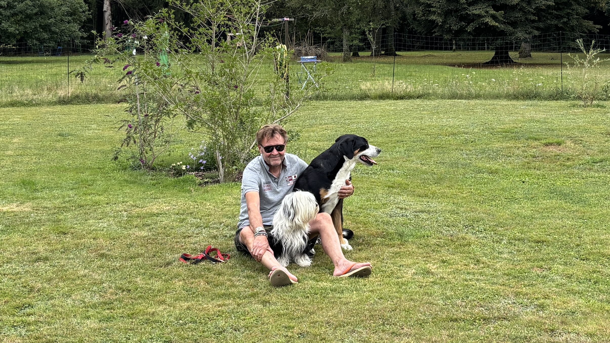 🐾 Le silence dans la relation